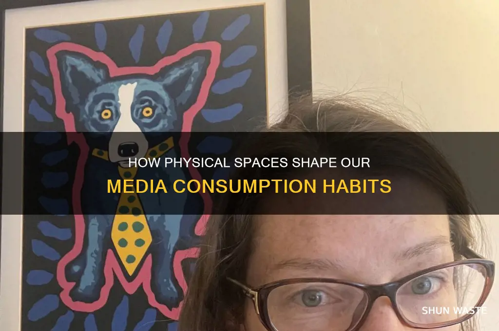 how does physical environment affect media usage