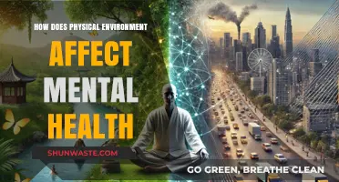 Surroundings and Mind: Exploring Physical Spaces' Impact on Mental Well-Being