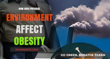 Environment's Impact: How Physical Spaces Influence Obesity Rates