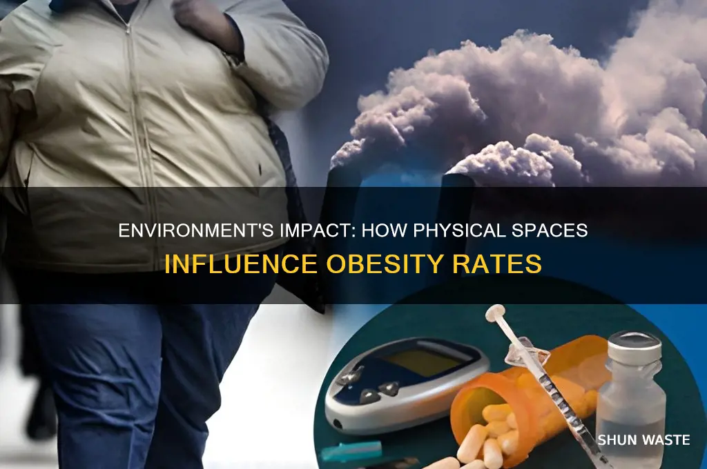 how does physical environment affect obesity