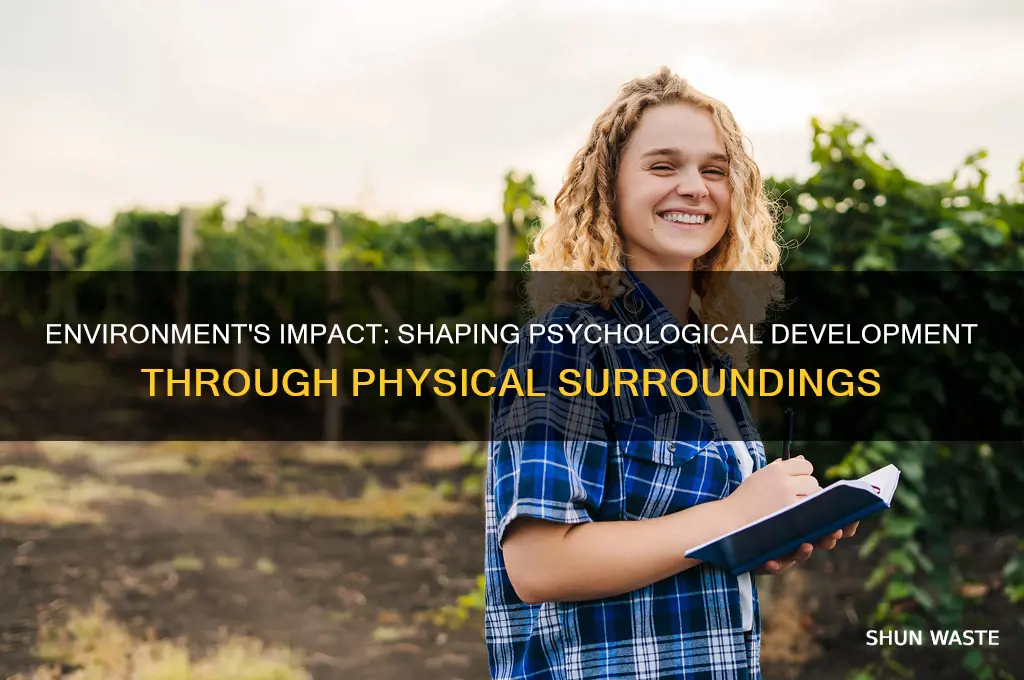 how does physical environment affect psychological development
