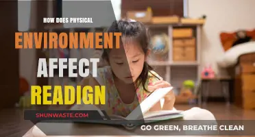How Physical Spaces Shape Reading Habits and Cognitive Engagement