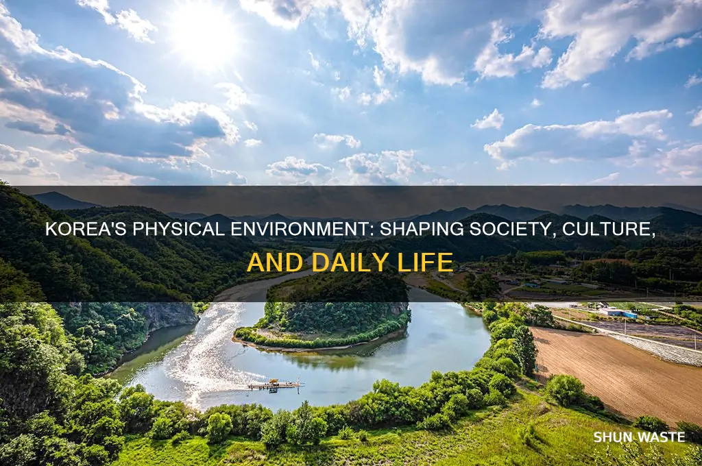 how does physical environment affect society in korea