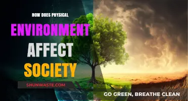 Shaping Societies: The Impact of Physical Environments on Human Life
