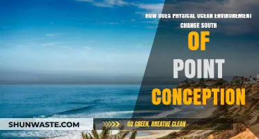 South of Point Conception: Shifting Ocean Dynamics and Environmental Impacts