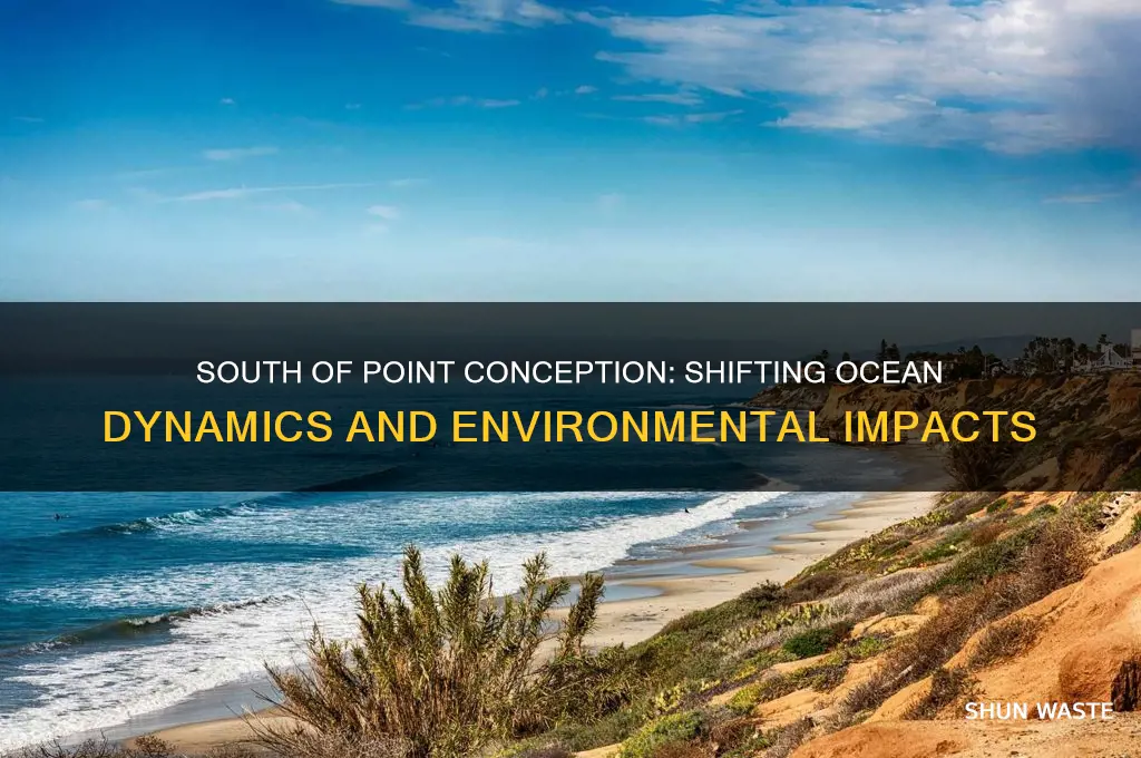 how does physical ocean environement change south of point conception