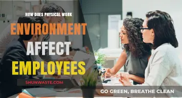 Impact of Physical Workspaces on Employee Productivity and Well-Being