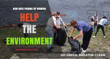 Picking Up Rubbish: Small Act, Big Impact on Our Environment
