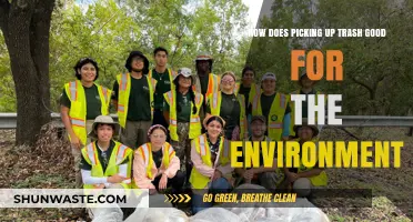 Picking Up Trash: Simple Acts, Big Environmental Impact Explained