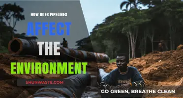 Pipelines' Environmental Impact: Assessing Ecological Consequences and Sustainability Challenges