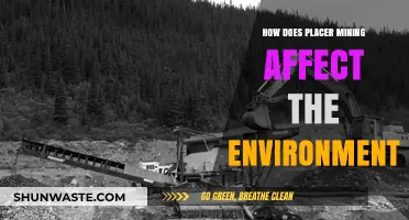 Placer Mining's Environmental Impact: Erosion, Water Pollution, and Habitat Loss