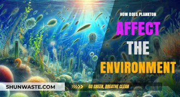 Plankton's Role in Shaping Ecosystems and Climate Patterns