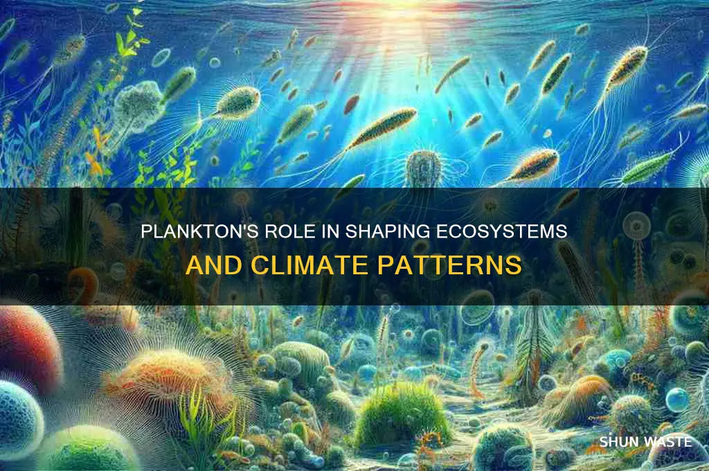 how does plankton affect the environment