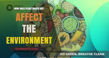 Plant-Based Diets: Environmental Impact and Sustainable Food Choices