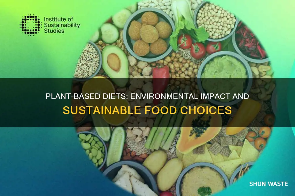 how does plant based diet affect the environment