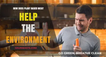 Plant-Based Meat: A Sustainable Solution for Environmental Preservation