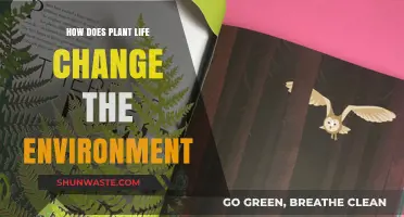 Plant Life's Impact: Transforming Ecosystems and Shaping Our Environment