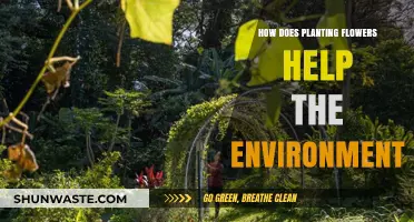 Planting Flowers: A Simple Yet Powerful Way to Heal Our Environment