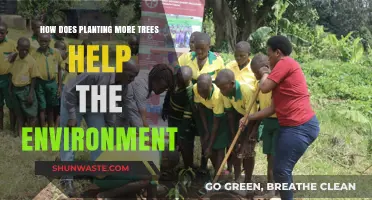 Planting Trees: A Powerful Solution for Environmental Restoration and Sustainability