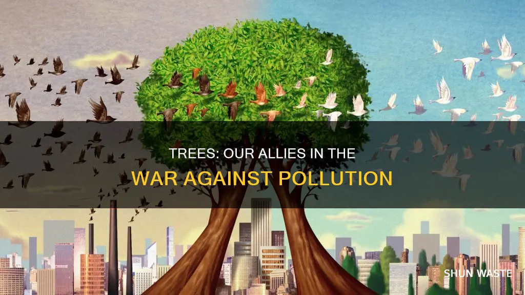 how does planting more trees reduce pollution