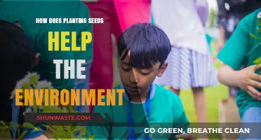 Planting Seeds: Nurturing Ecosystems and Combating Climate Change Naturally