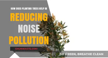 Planting Trees: Natural Noise Pollution Solution