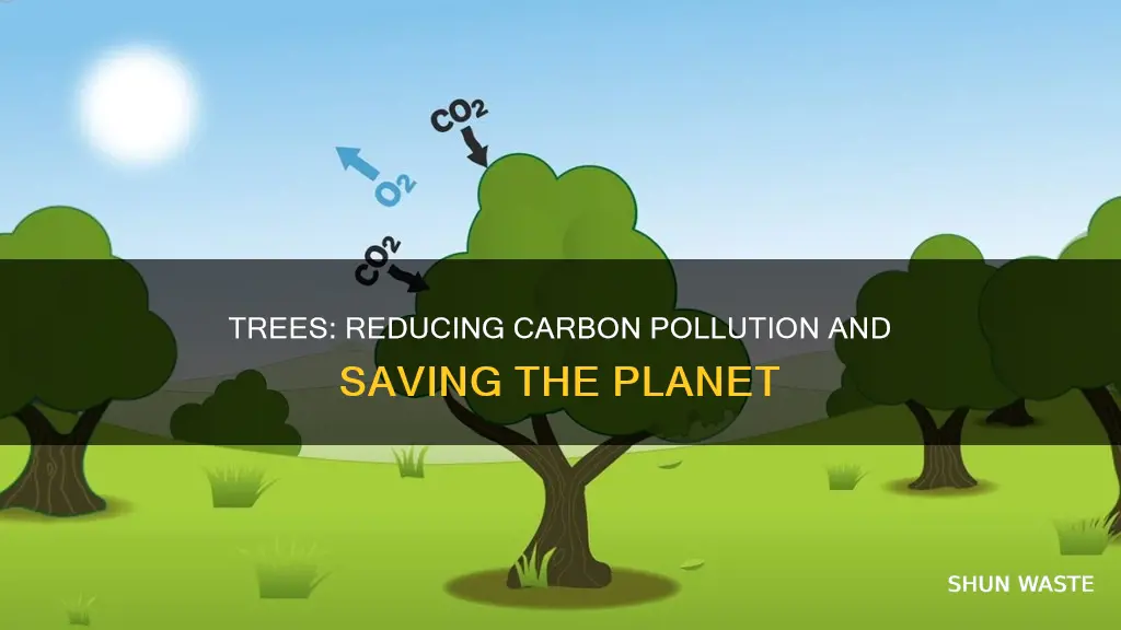 how does planting trees reduce carbon pollution