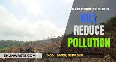 Planting Hillsides: Vegetation's Power Against Pollution