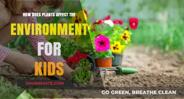 How Plants Help Our Environment: A Kid-Friendly Guide