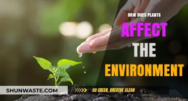 How Plants Shape Our Environment: Benefits and Impacts Explained