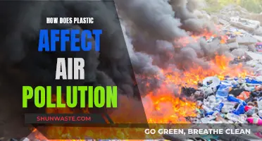 Plastic's Impact: Air Pollution and Its Devastating Effects