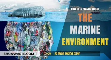 Plastic Pollution: Devastating Impacts on Marine Ecosystems and Wildlife