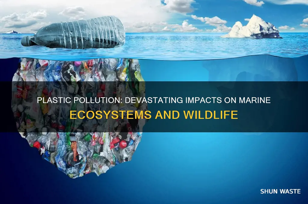 how does plastic affect the marine environment