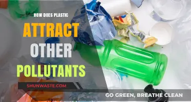 Plastic Pollution: A Magnet for Harmful Contaminants