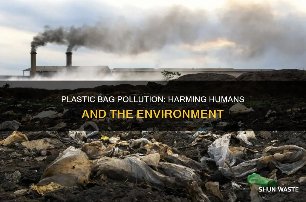 how does plastic bag pollution affect humans