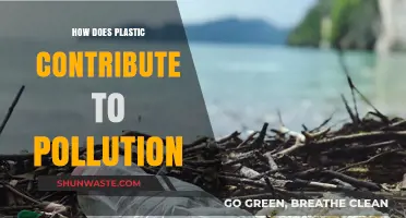 Plastic Pollution: A Global Crisis