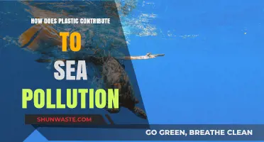 Plastic's Deadly Impact on Our Oceans