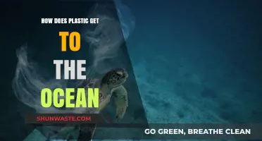 Plastic's Journey: Ocean Arrival Explained
