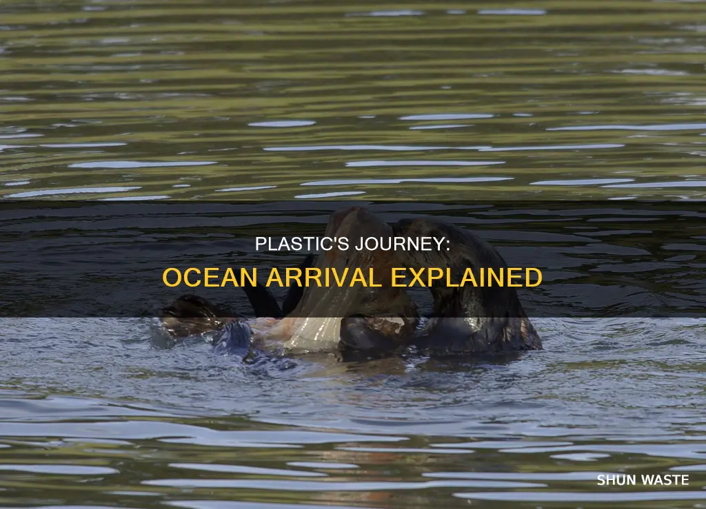 how does plastic get to the ocean