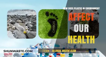 Plastic Pollution's Hidden Health Hazards: Uncovering Environmental Impacts on Humans