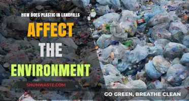 Plastic in Landfills: Environmental Impact and Long-Term Consequences Explained