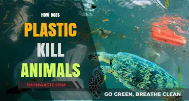 Plastic Pollution: A Deadly Threat to Animals