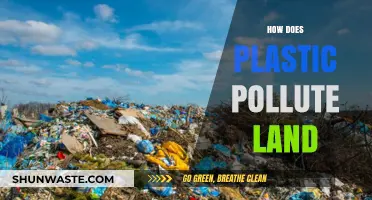 Plastic Pollution: Land's Toxic Legacy
