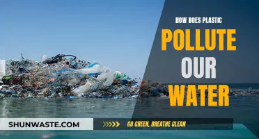 Plastic's Toxic Threat: How It Contaminates Our Waterways