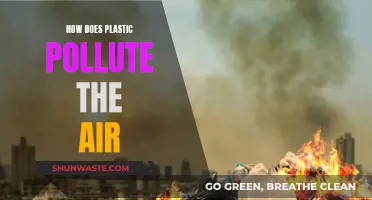 Plastic Pollution: Harming Air, Land, and Sea
