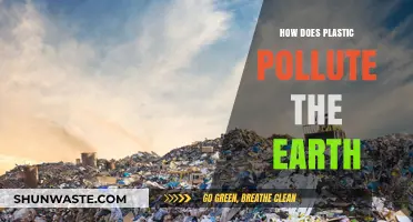 Plastic Pollution: A Global Crisis