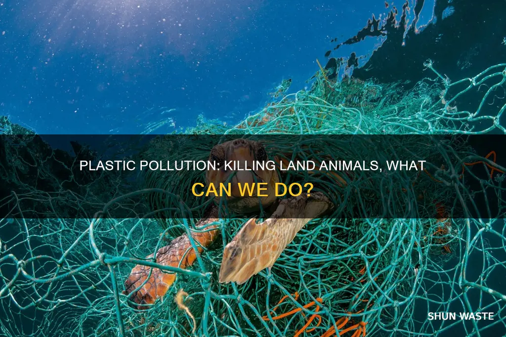 how does plastic pollution affect animals on land