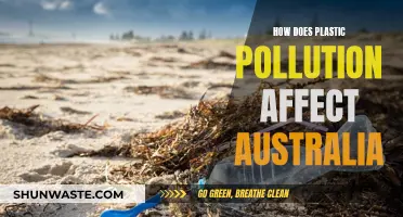 Plastic Pollution: Australia's Crisis and Impact