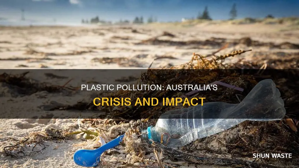 how does plastic pollution affect australia