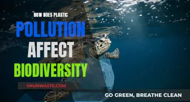 Plastic Pollution's Impact on Biodiversity and Ecosystems